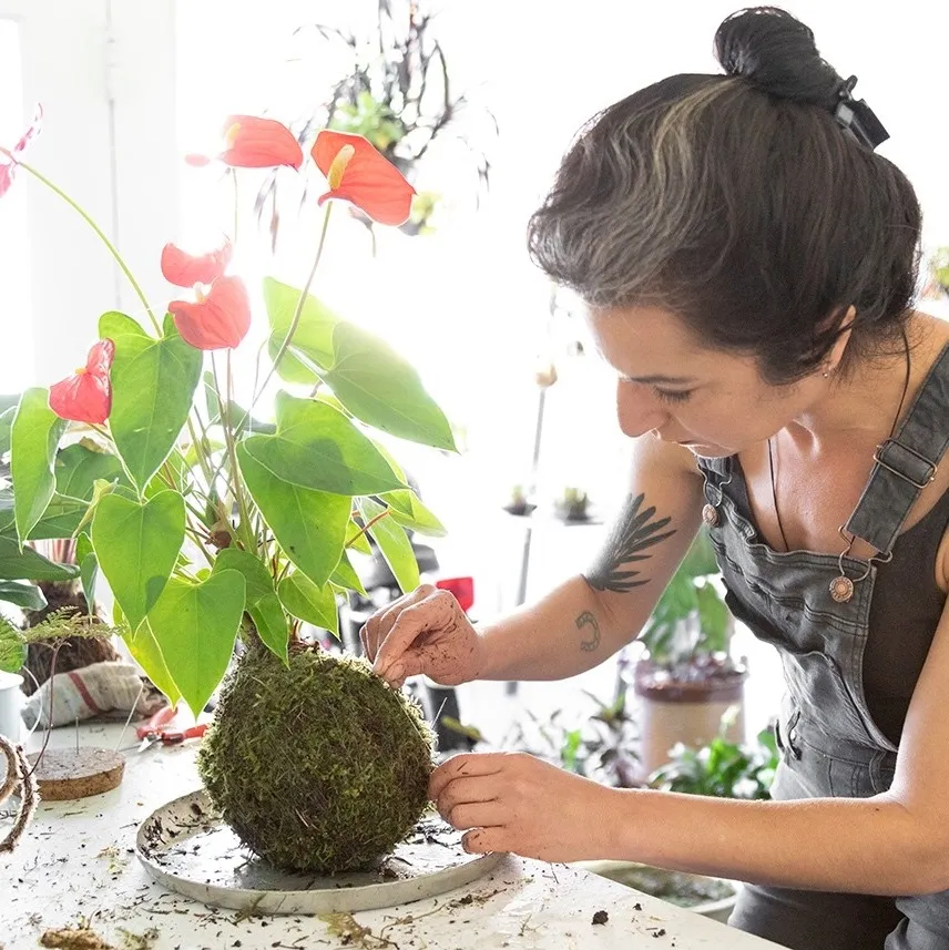 Ofsoilandmoss