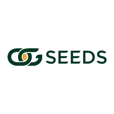 OG Seeds