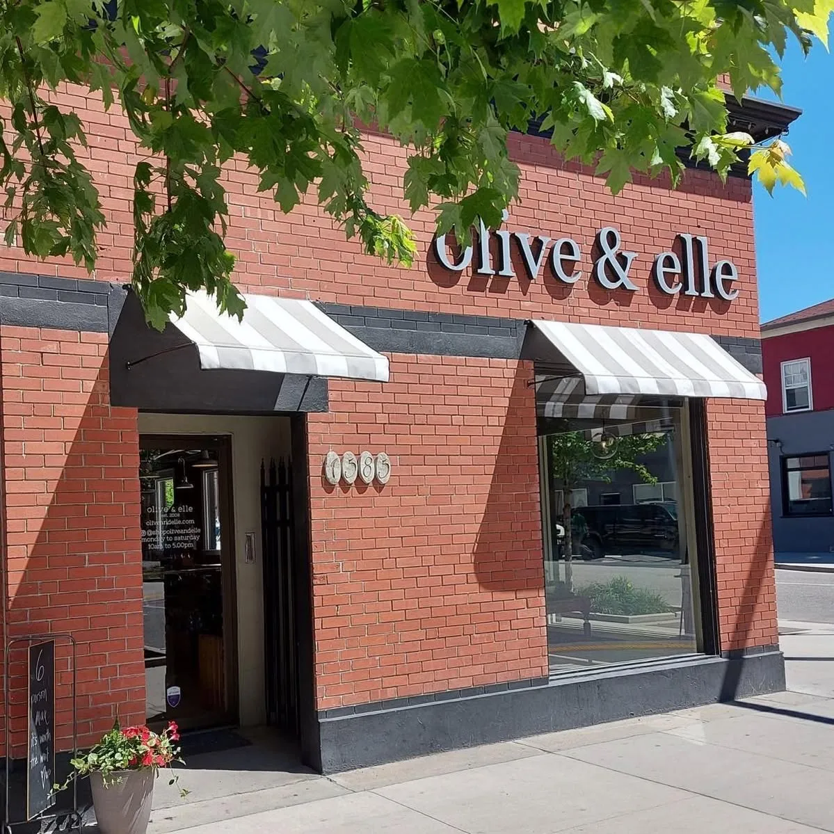 Oliveandelle