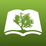 Olive Tree logo/icon