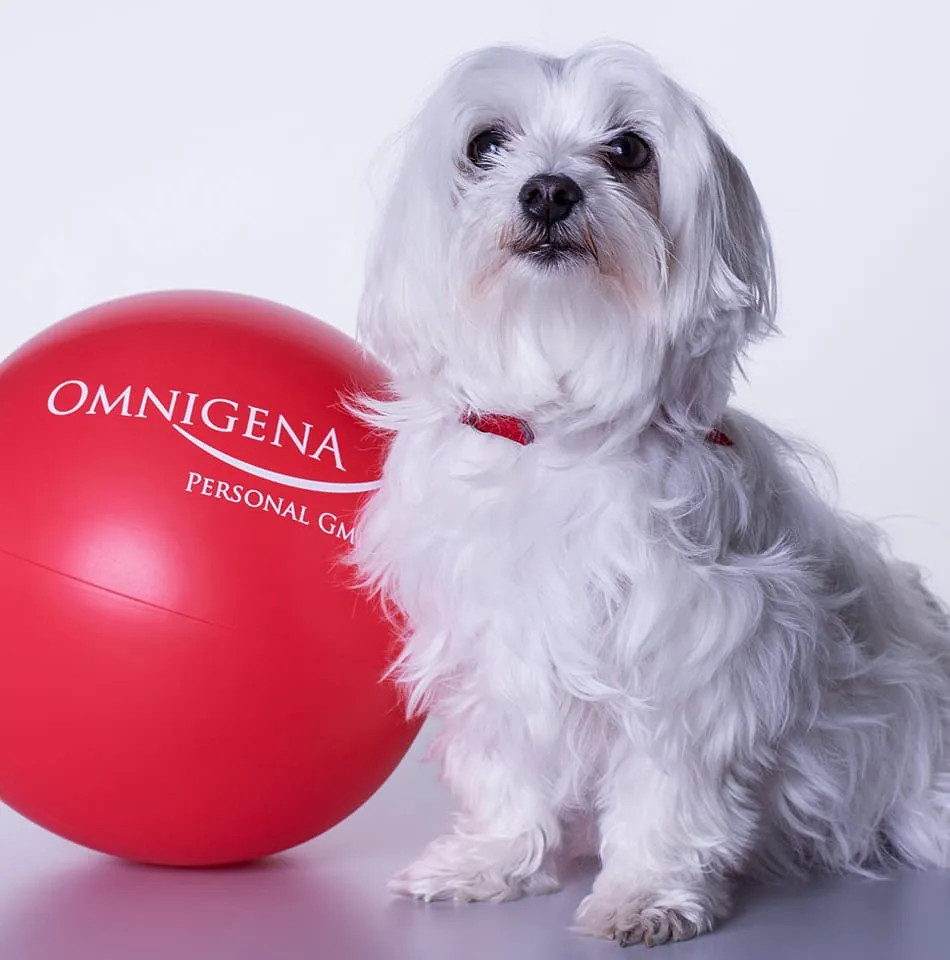 OMNIGENA Personal GmbH logo