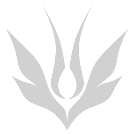 Oncehuman logo