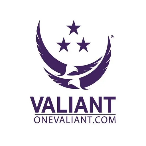 VALIANT BMC VI, LLC logo