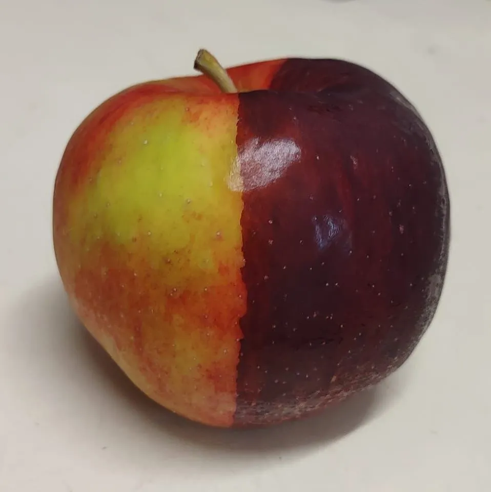 Ontario Orchards