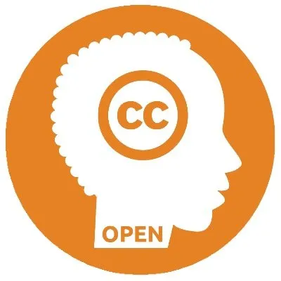 company_logo