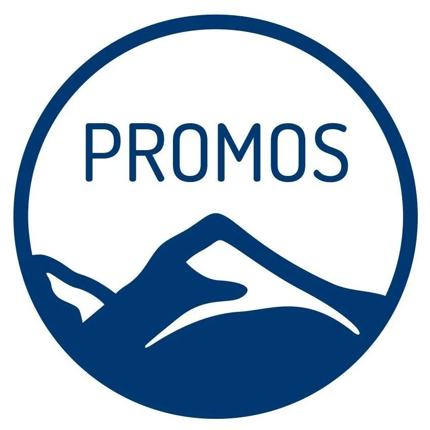 PROMOS consult logo