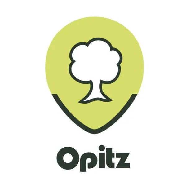 Opitz GmbH Großbaumverpflanzung