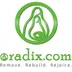 Oradix Inc. logo