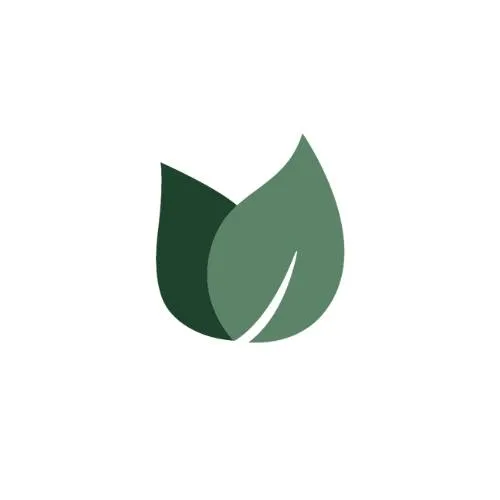 Organic Textiles