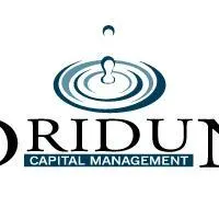 Oridun Ventures LLC logo