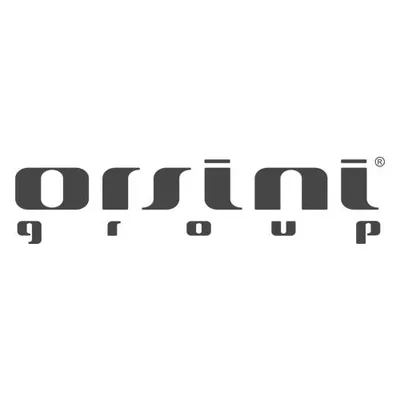 Orsini Group logo