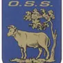 Logo O.S.S. '20