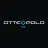 Otte Polo Group logo