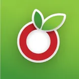 OurGroceries logo/icon