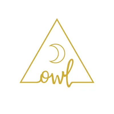 owlvenice.com logo