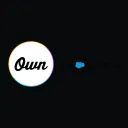 owndata.com logo