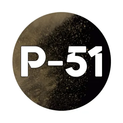 p51bikes.com logo