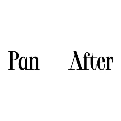 Panafter