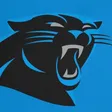 Carolina Panthers-company-logo