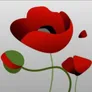 Logo Duurzaamheidscentrum De Papaver
