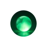 Path Genius logo/icon