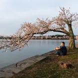 PAT or JK (patorjk.com) logo/icon