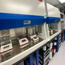 Pavilion Compounding Pharmacy