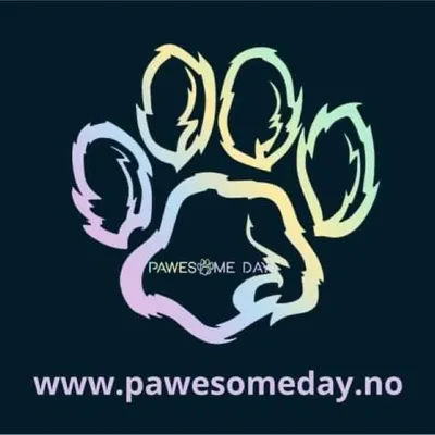 Pawesomeday logo