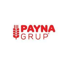 Payna Grup