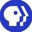 PBS Foundation logo
