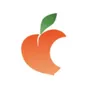 peachskinsheets.com logo