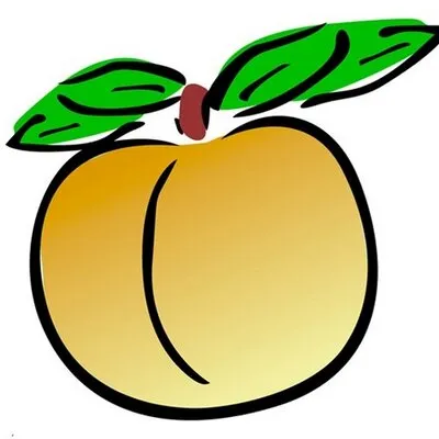 Peachtreecomputers