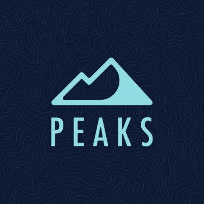 Peaks Digital Marketing logo