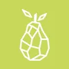 Pear VC's company logo