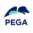 Pegasystems-company-logo