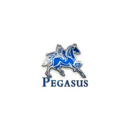 Pegasusbutterflysaddles