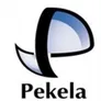 Logo Gemeentehuis Pekela