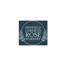 Penfieldroses