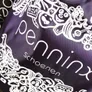 Logo Penninx Schoenen