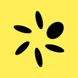 Pera Wallet logo/icon