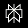 Perplexity AI Logo