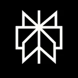 Perplexity logo/icon