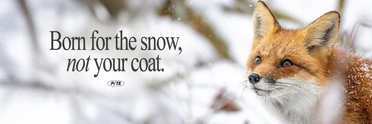 PETA Logo & Brand Assets (SVG, PNG and vector) - Brandfetch