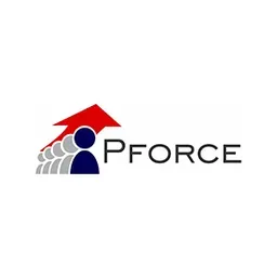 People Force Consulting Inc logo