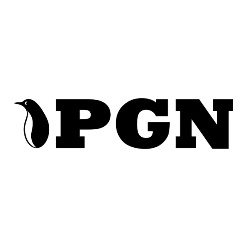 Pgnbearings