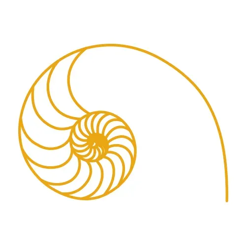 Phi Zoyi Capital logo