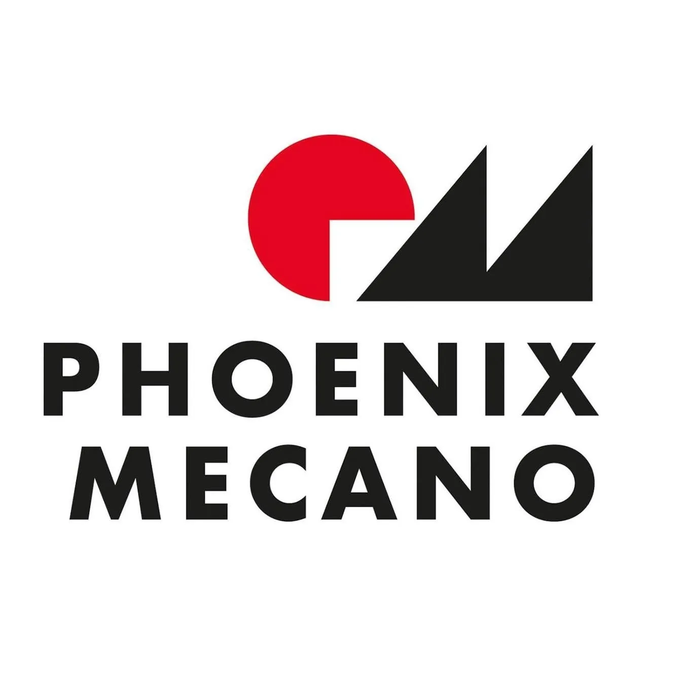 Phoenix Mecano Solutions AG logo