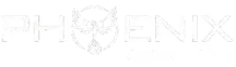 Phoenix Automotive light logo