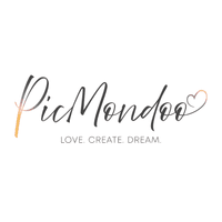 Picmondoo GmbH logo