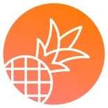 Pineapple Builder logo/icon
